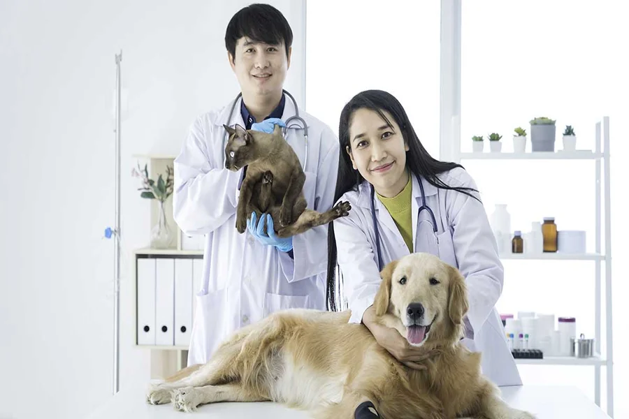 Differentiate Veterinary